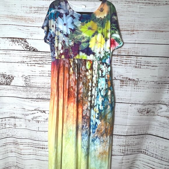 Pink Daisy Floral maxi dress size 1X - Picture 1 of 2
